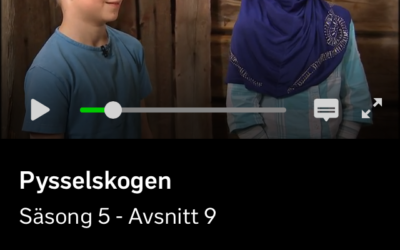 SVT normaliserar förtryck och sexualisering av småflickor