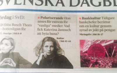 Det är inte vi systemkritiker som klyver samhället